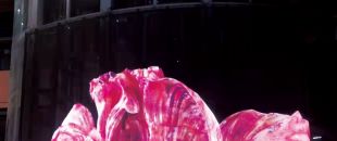 led屏為什么會(huì)流行起來(lái)？都有什么特點(diǎn)？