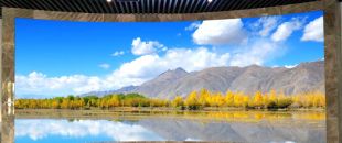 小間距l(xiāng)ed顯示屏未來(lái)的發(fā)展前景怎么樣？