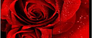  小間距LED屏的像素這么密，是怎么做到不出現(xiàn)顏色偏差的呀？